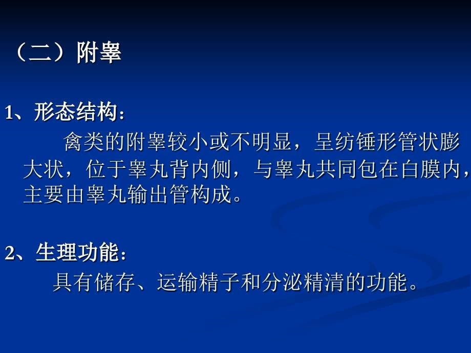 课题3 家禽的生殖器官课件_第5页