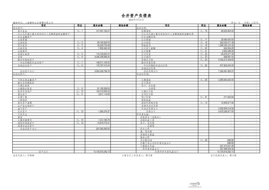 阳 光 城：上海桑祥企业管理有限公司审计报告_第5页