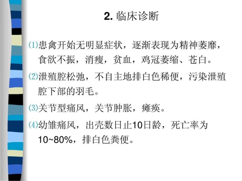 聊城大学农学院《禽病学》课件营养代谢障碍病之痛风_1_第3页