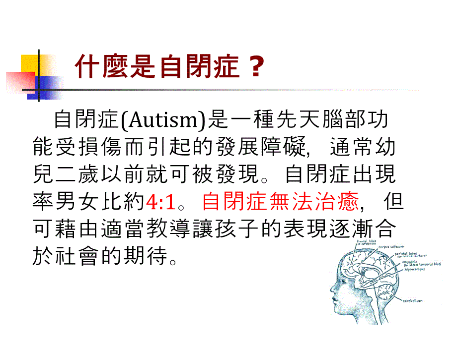 认识自闭症课件_第3页