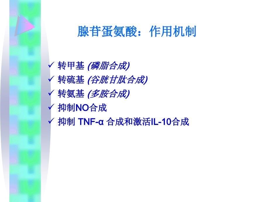 腺苷蛋氨酸在非病毒慢肝中的应用范竹萍课件_第5页