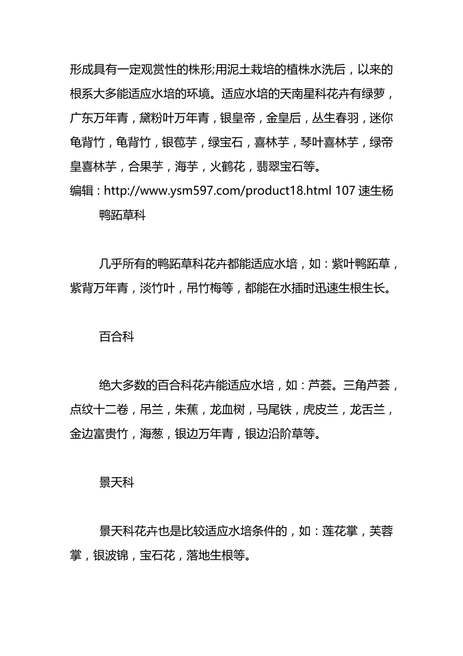 冠县二乔苗木告诉您适应水培的花卉种类_第2页