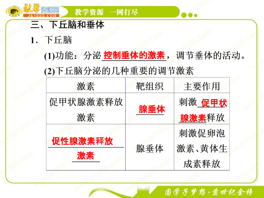 2012届高考生物一轮复习精品课件第29讲 高等动物的内分泌系统与体液调节（浙科版必修3）_第3页