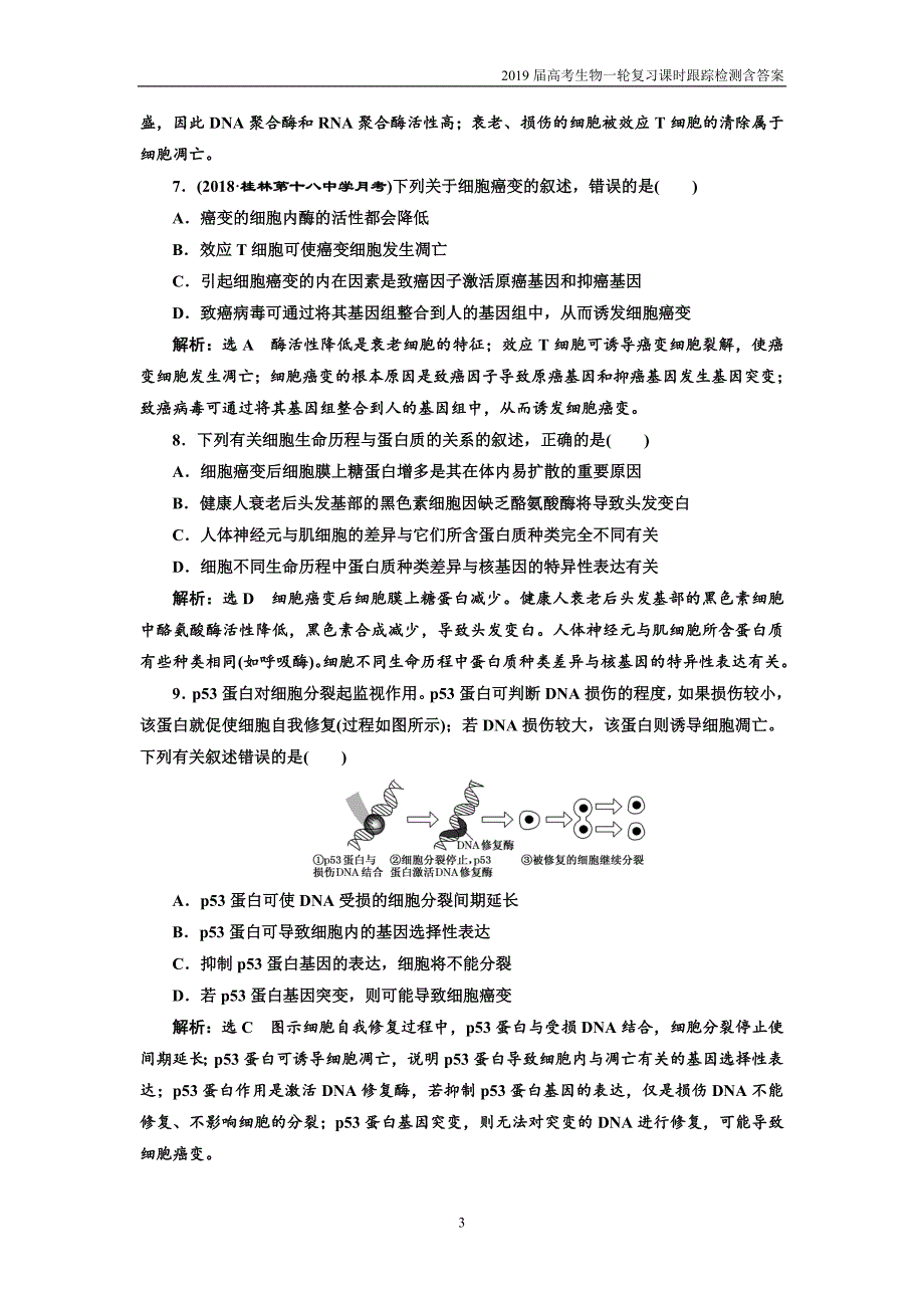 2019年高考生物一轮课时跟踪检测（十四）  细胞的分化、衰老、凋亡和癌变_第3页