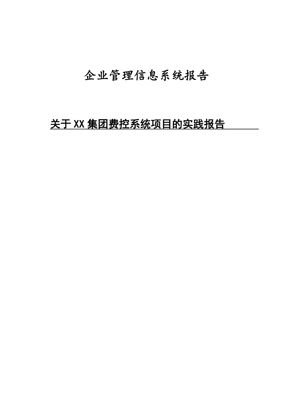 企业管理信息系统报告_第1页