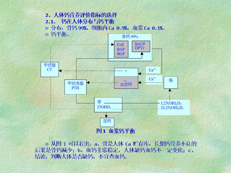 钙营养评价和代谢性骨病方面的应用课件_第3页