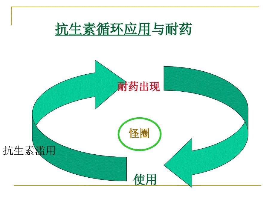 细菌耐药和抗菌药物合理使用的原则课件_第5页