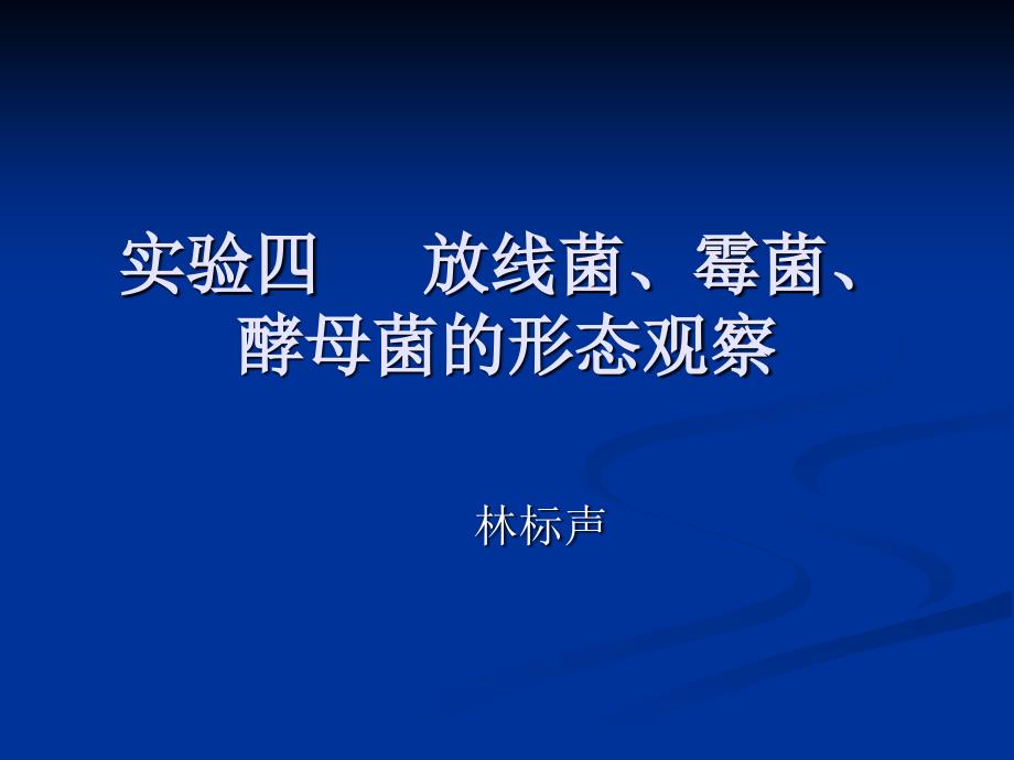 微生物实验四放线菌霉菌酵母菌的形态观察（ppt x页）课件_第1页