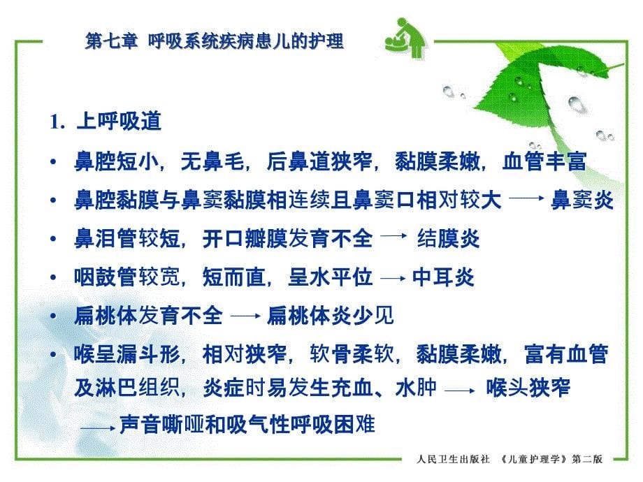 儿童护理学 第七章 呼吸系统疾病患儿的护理 第二节 急性上呼吸道感染患儿的护理 第一节 儿童呼吸系统解剖生理特点课件_第5页