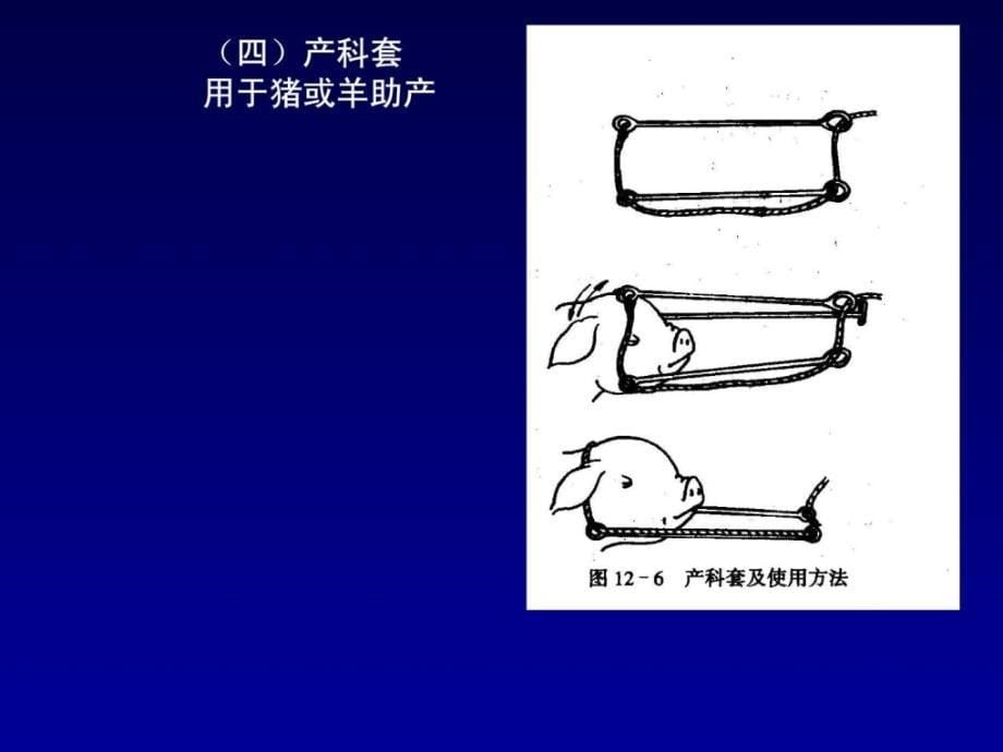 产科器械与助产畜牧兽医农林牧渔专业资料精华课件_第5页