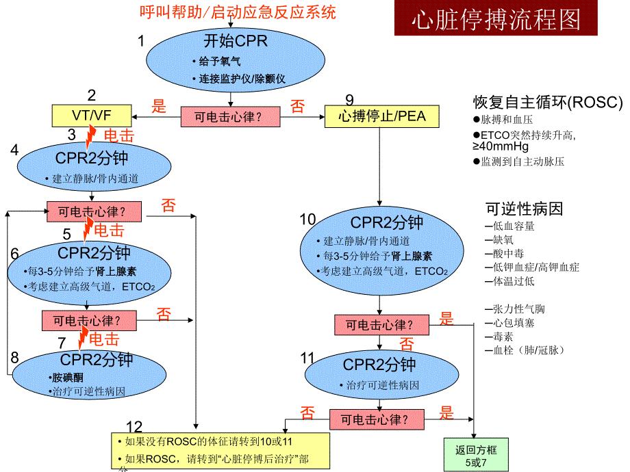 临床医学致命性心律失常的急诊处理课件_第3页