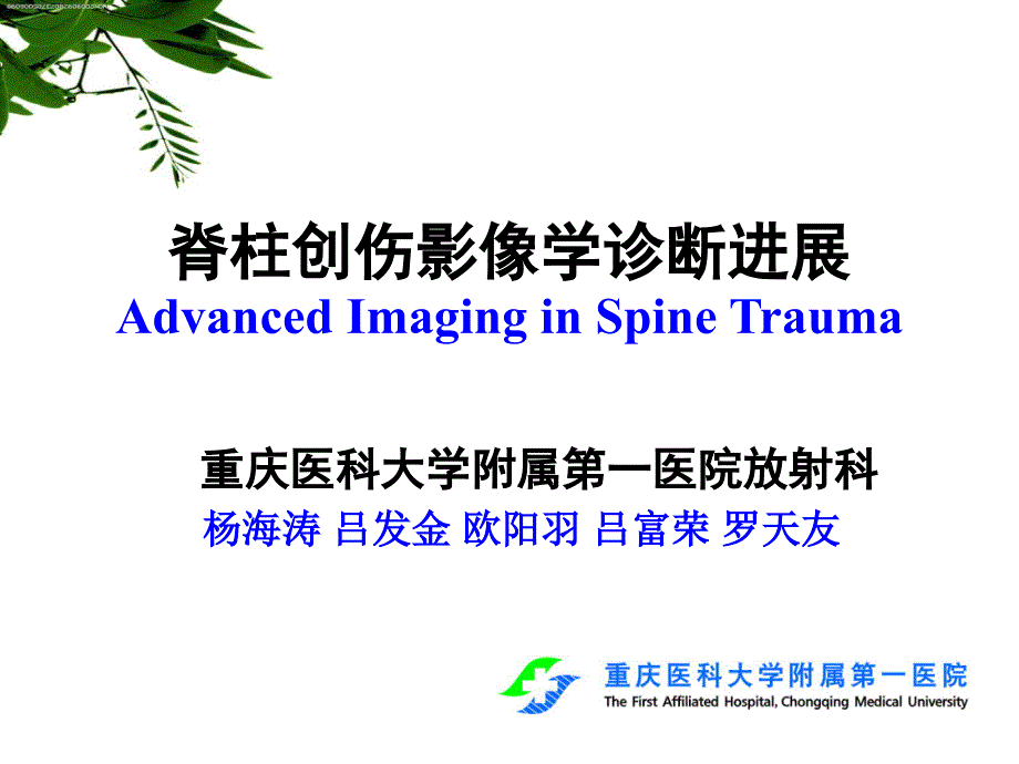 脊柱创伤的影像学诊断进展 ppt课件_第1页