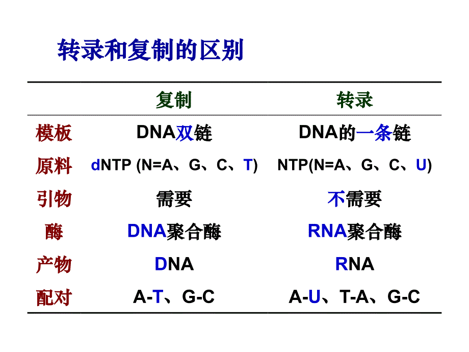 中国医科大基础医学生物化学ppt课件 第十一章 rna 生物合成 （转录）_第4页