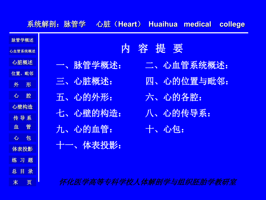 人体解剖学与组织胚胎学教研室_心脏课件_第3页