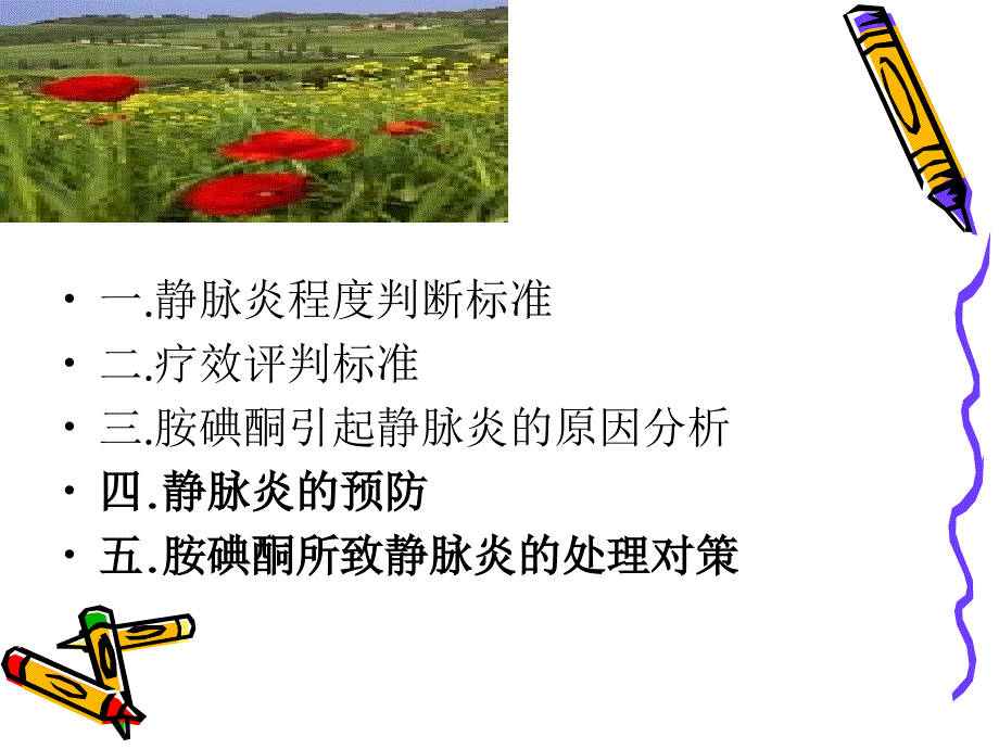 静脉滴注胺碘酮引（1）课件_第2页