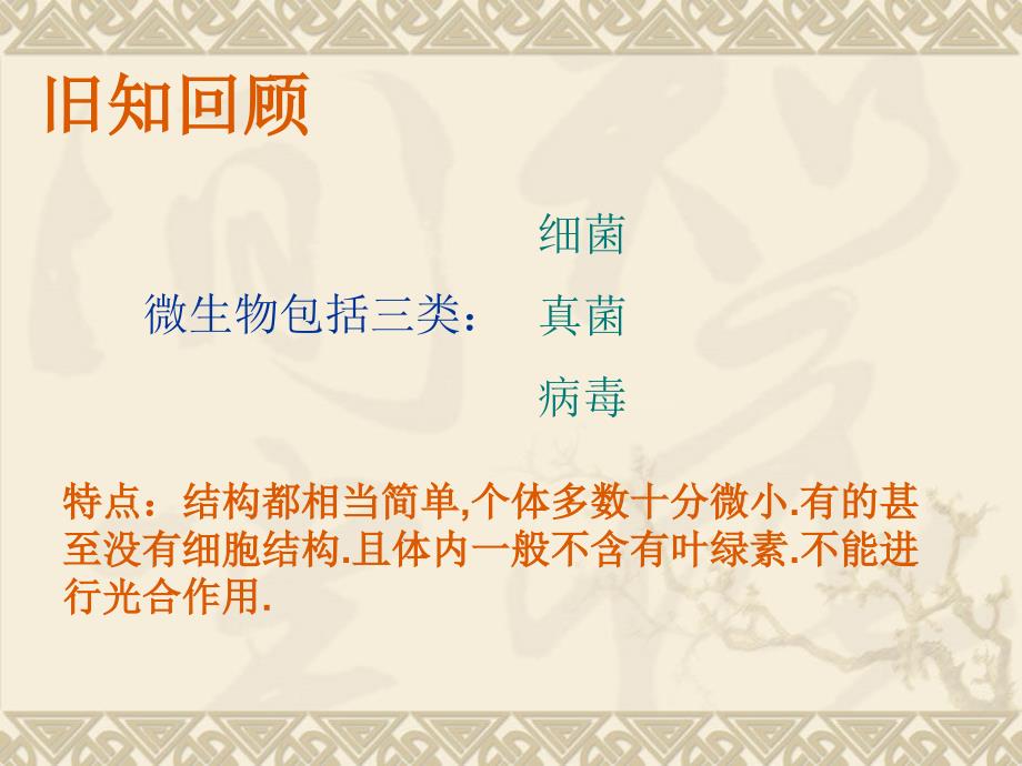 酵母菌和霉菌新课件_第1页