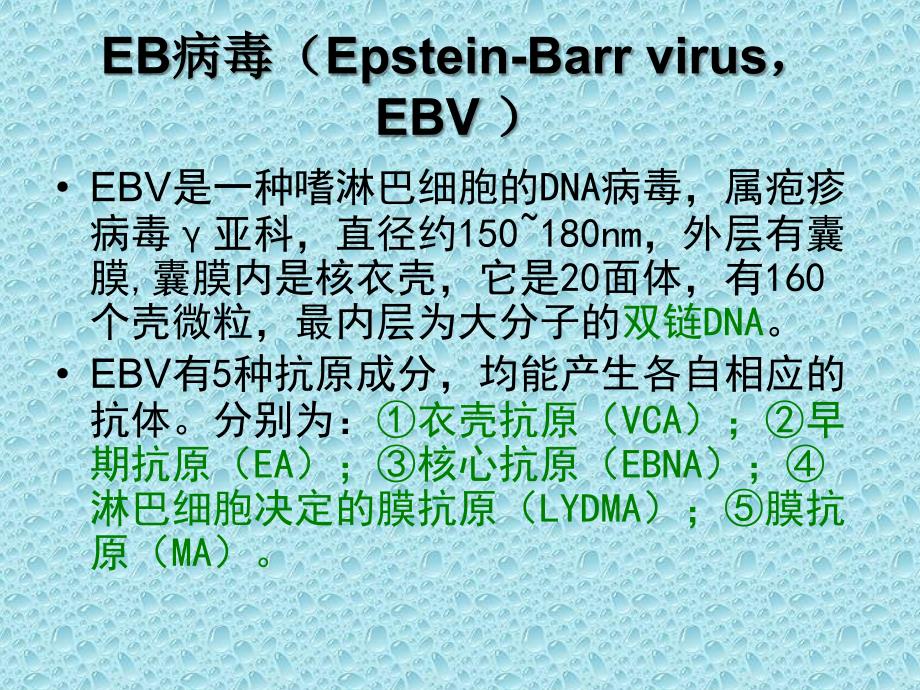 传染性单核细胞增多症夏雅课件_第4页