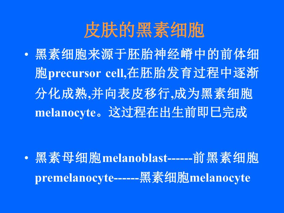 色素障碍性皮肤病精品课件_第4页