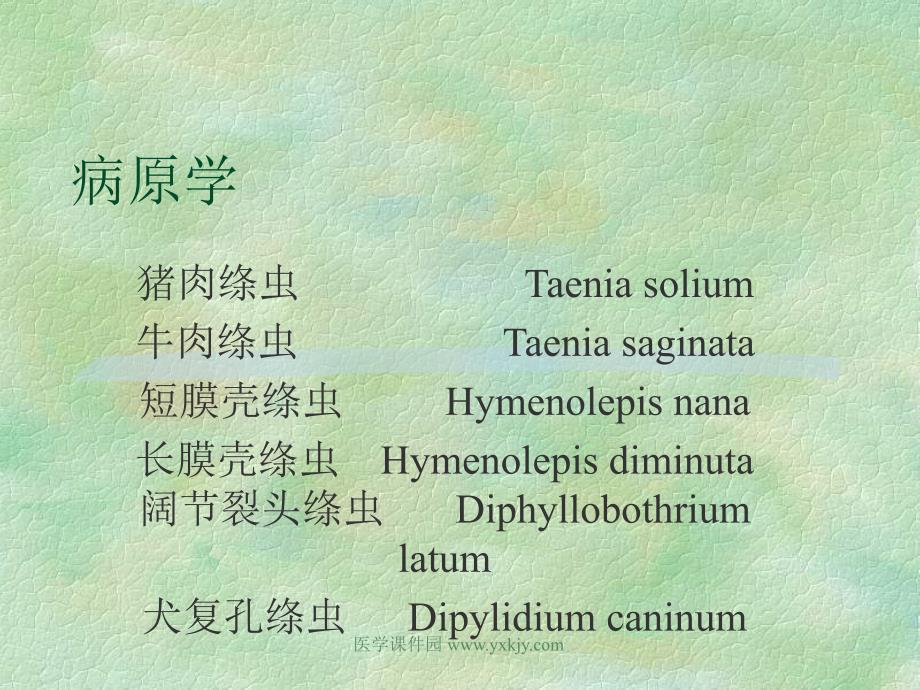 临床医学传染病学ppt课件肠绦虫病_第2页