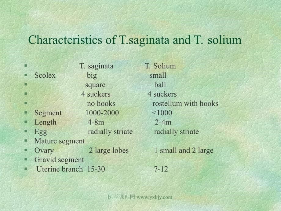 临床医学传染病学ppt课件肠绦虫病_第5页