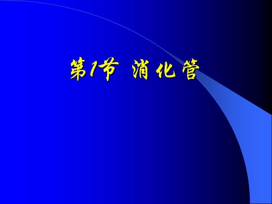 消化系统解剖生理课件_第5页