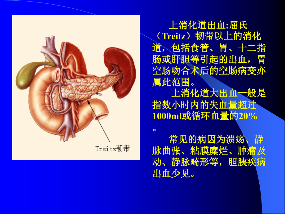 上消化道出血的诊断及内镜下治疗_1课件_第2页