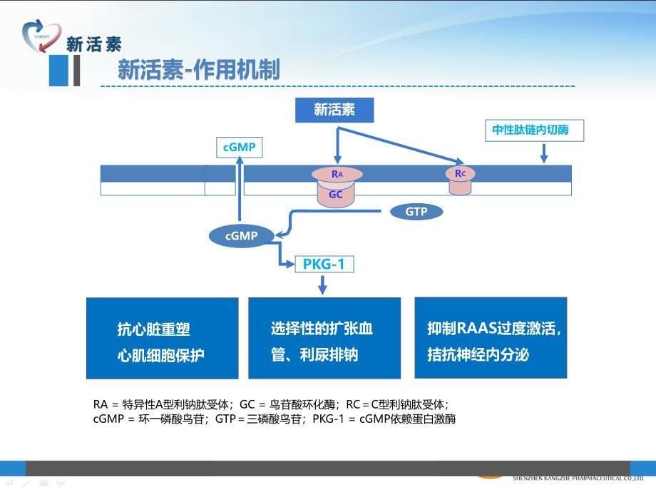 新活素在icu的临床应用_ppt课件_第5页