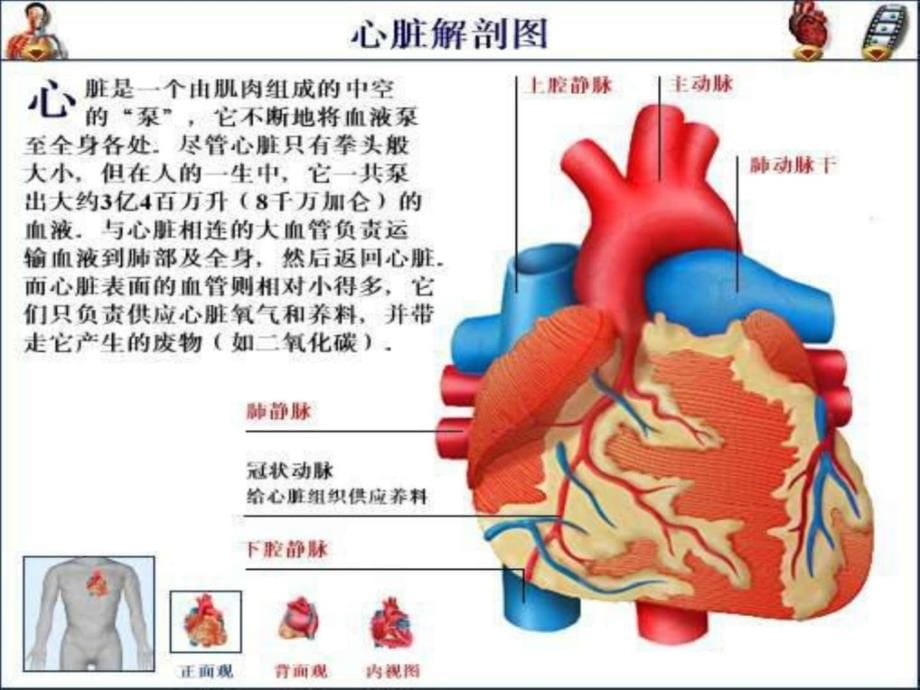 心脏外科手术及护理配合图文课件_第5页
