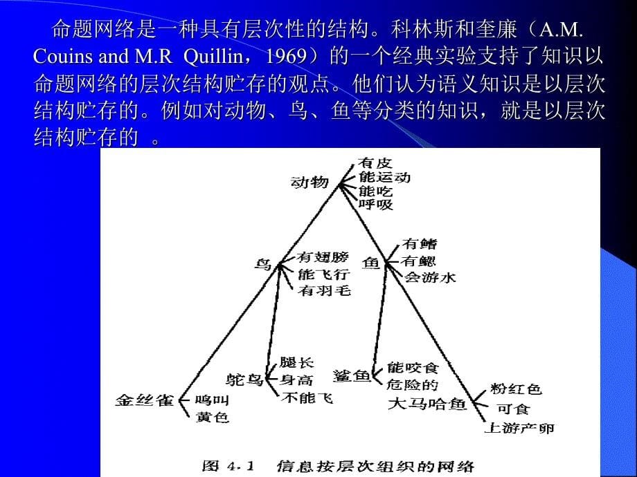 教育心理学课件csxzsdxyj（ppt 精品）_第5页