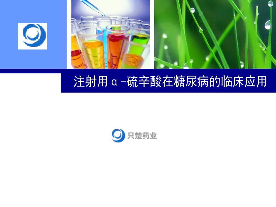 注射用硫辛酸在糖尿病的临床应用河南 ppt课件_第1页