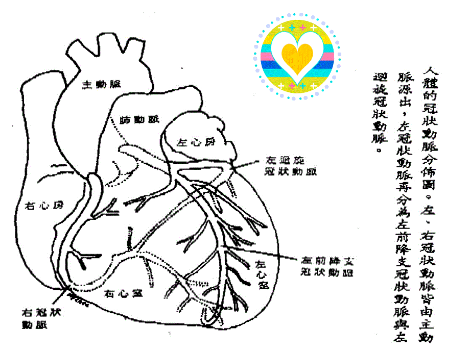 心脏血管疾病与日常生活保健课件_第2页