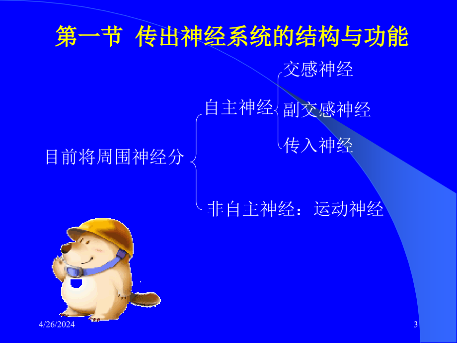 药理学课件 5章 传出图文_第3页