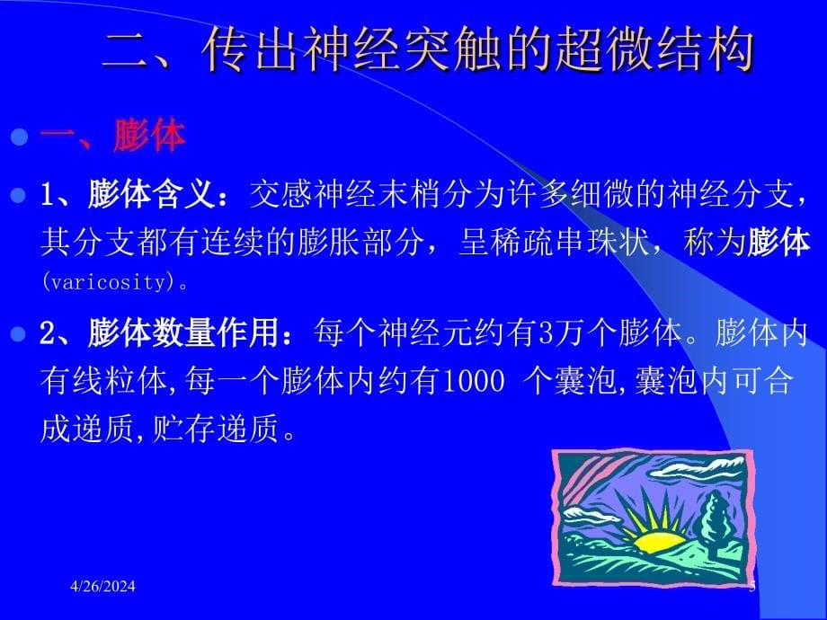 药理学课件 5章 传出图文_第5页