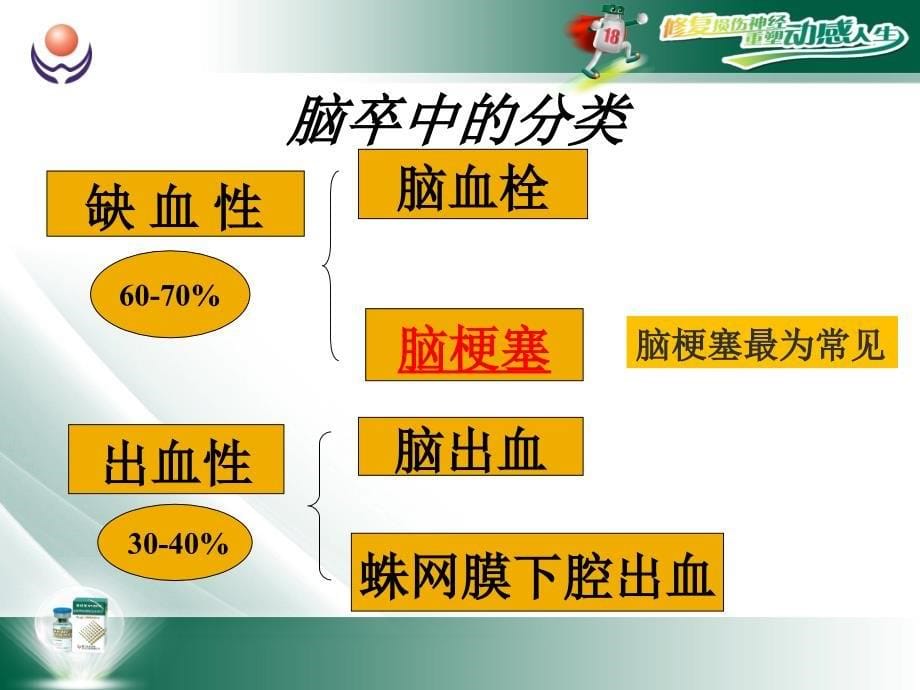 脑卒中患者的康复相关护理ppt课件_第5页