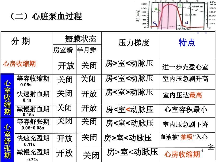 生理学课件循环（人卫第七版）（本）_第5页