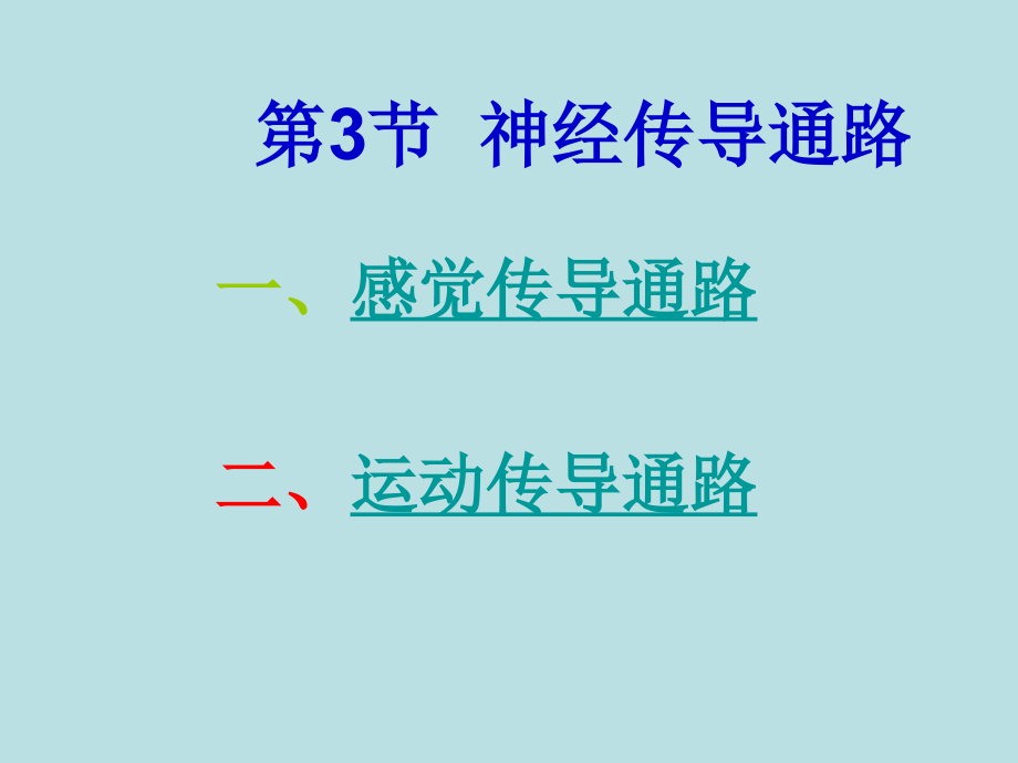 高专高职《解剖组胚学（上册）》（第二版）课件_1_第4页