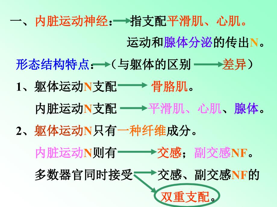 解剖学内脏神经课件_第3页