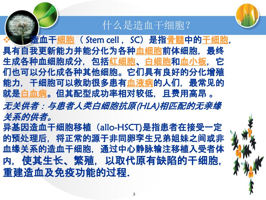 造血干细胞移植护理PPT课件_第3页