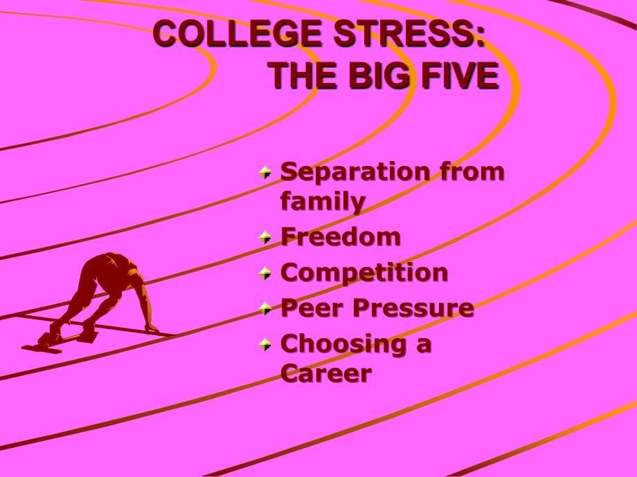 stress大学生的压力课件_第5页