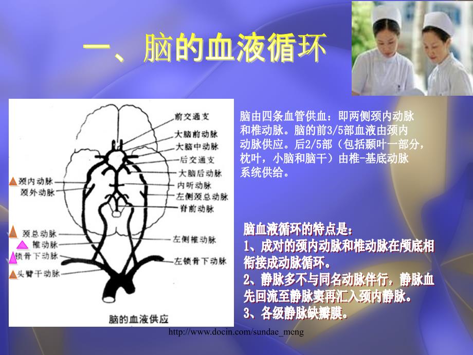 大学课件脑出血护理查房_第2页