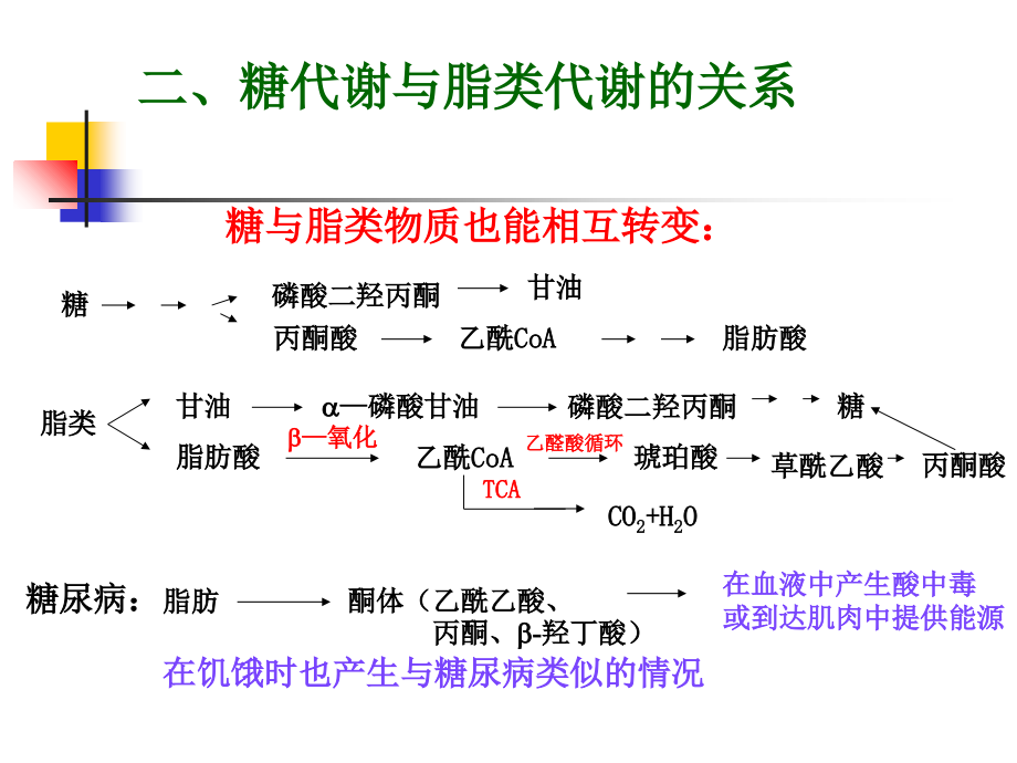 生物化学 第十二章代谢调节ppt课件_第3页