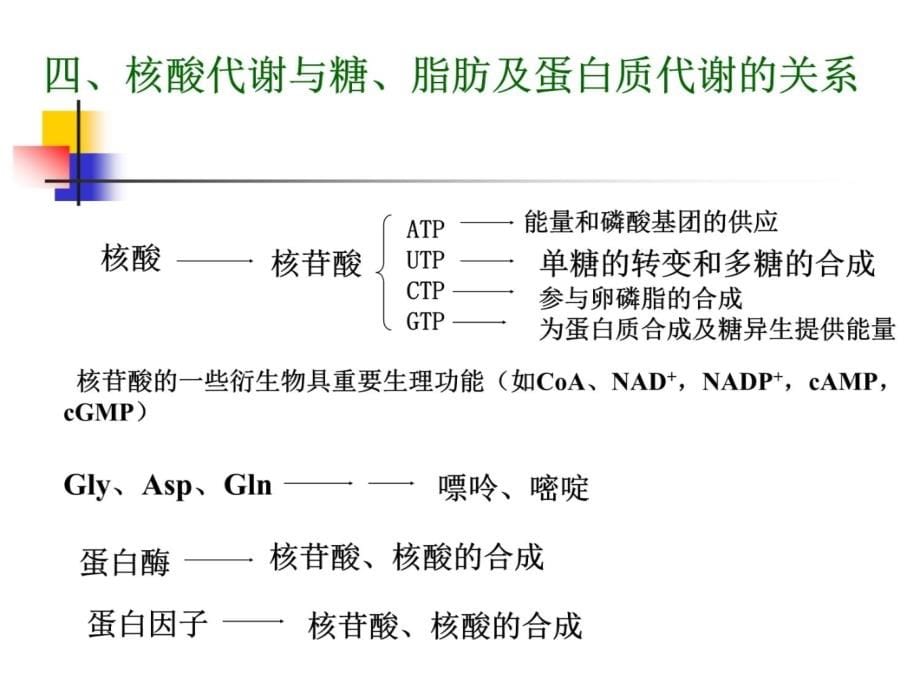 生物化学 第十二章代谢调节ppt课件_第5页