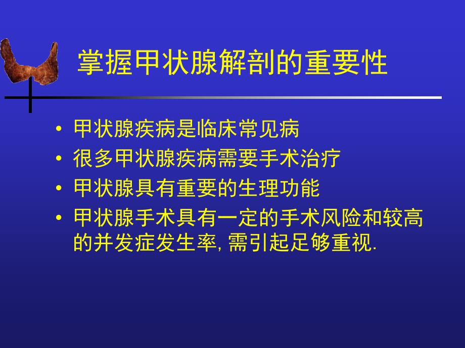 医学甲状腺解剖生理概要及临床意义_1课件_第2页