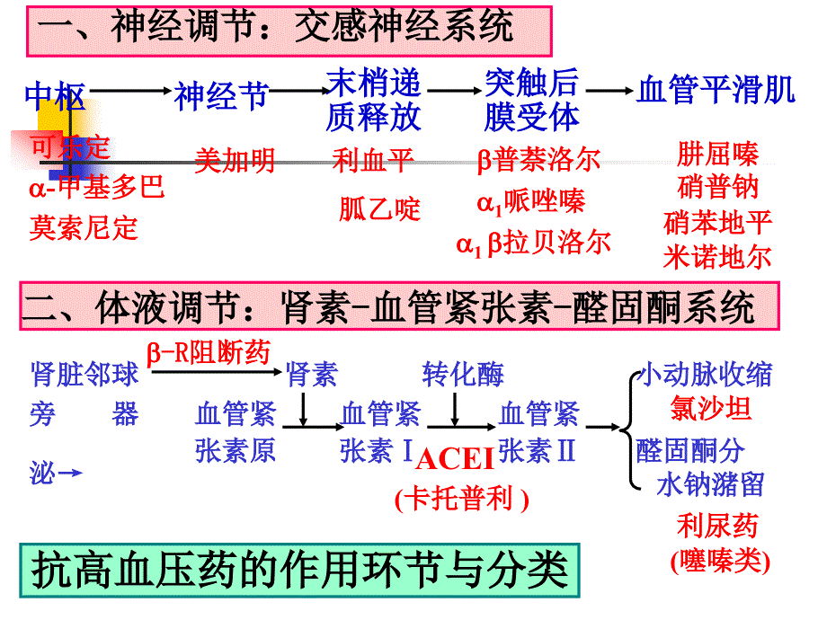 北医药学医学药理学课件抗高血压药_第3页