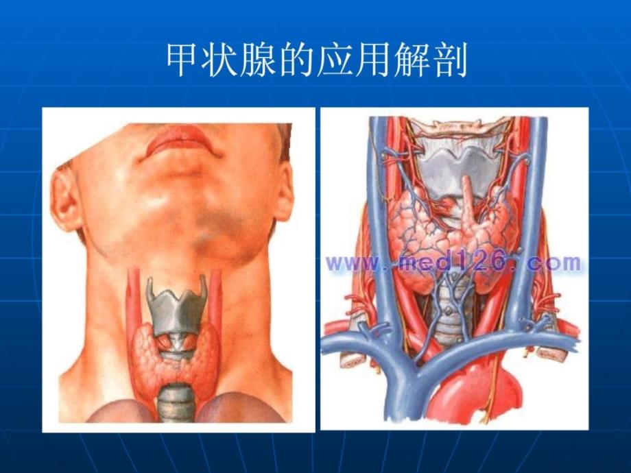 超声诊断学甲状腺宝典课件_第2页