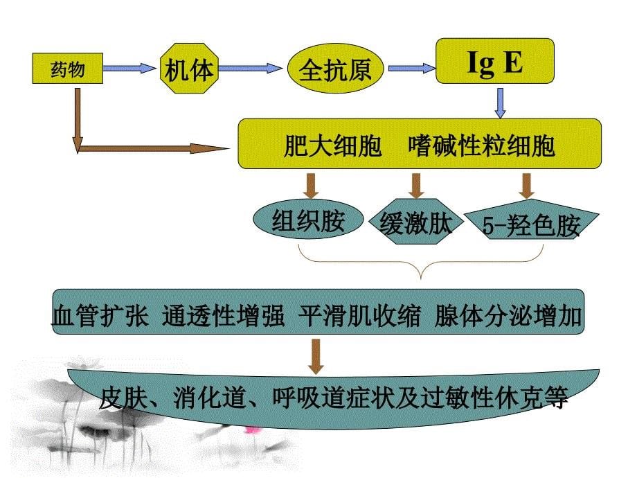 过敏性休克的急救 顾纪芳课件_第5页