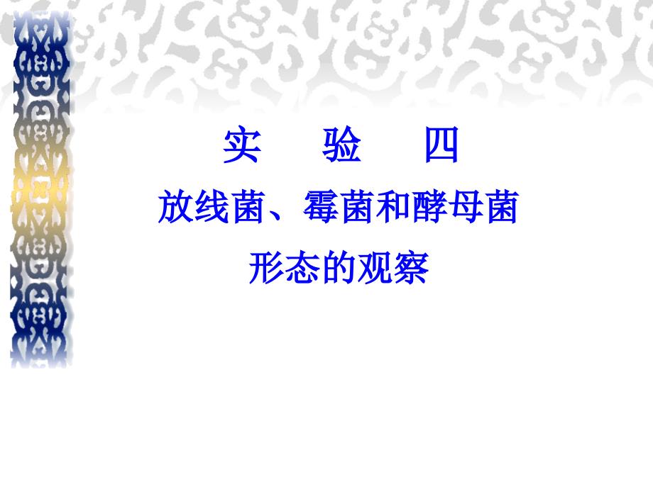 实验四 放线菌霉菌和酵母菌形态的观察课件_第1页