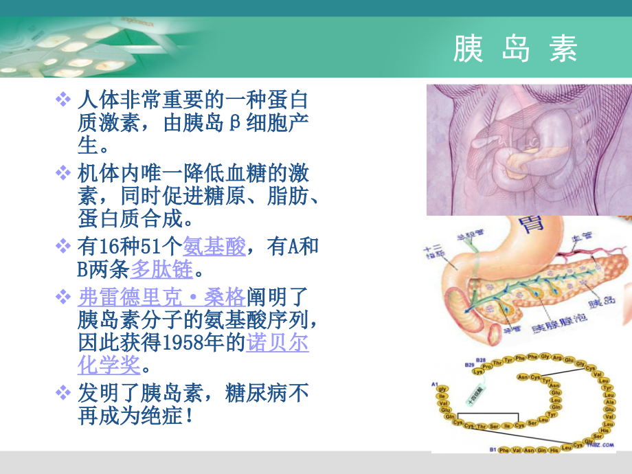 （蔡庆华）妊娠糖尿病与饮食指导图文课件_第4页