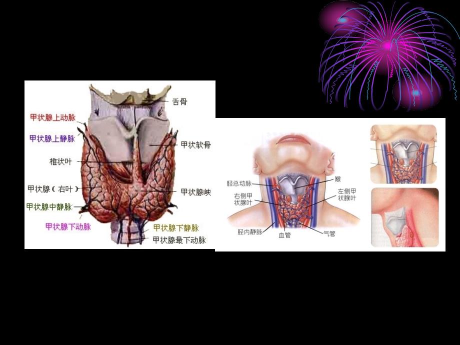 甲状腺功能亢进的相关护理ppt课件_第2页