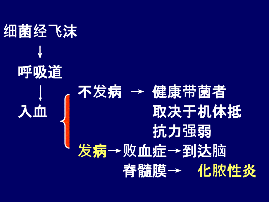 吴永廉《病理学》精品课件流行性脑脊髓膜炎_第4页